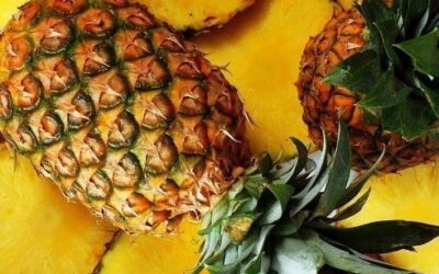 Quali sono le proprietà benefiche dell’ananas?